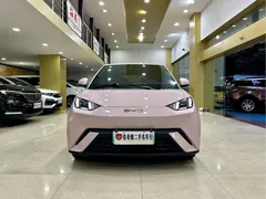 2024 BYD Seagull EV Glory 405km Flying — фото 4
