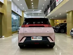 2024 BYD Seagull EV Glory 405km Flying — фото 5