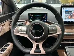 2024 BYD Seagull EV Glory 405km Flying — фото 13