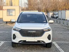 2021 Haval M6 Plus 1.5T DCT Elite, белый — фото 2