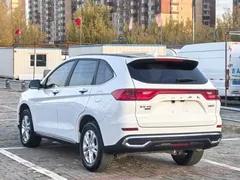2021 Haval M6 Plus 1.5T DCT Elite, белый — фото 7