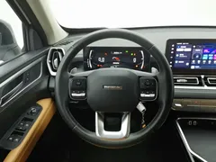 2023 Haval H5 2.0T AT 2WD Petrol, белый — фото 11