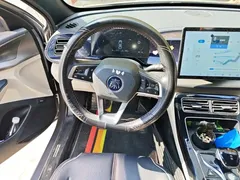 2023 BYD Qin PLUS Champion DM-i PHEV 120KM — фото 6