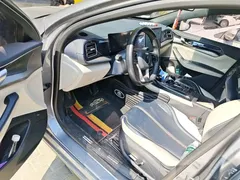 2023 BYD Qin PLUS Champion DM-i PHEV 120KM — фото 12