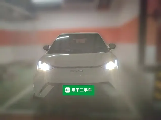 2025 BYD Seagull 305km Vitality