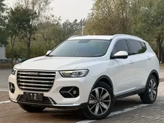 2020 Haval H6 2.0GDIT AT Platinum Luxury, белый — фото 1