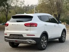 2020 Haval H6 2.0GDIT AT Platinum Luxury, белый — фото 2