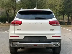 2020 Haval H6 2.0GDIT AT Platinum Luxury, белый — фото 3