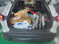 2023 Toyota Frontlander 2.0L Hybrid Leading, белый — фото 20