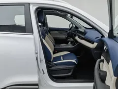2023 Chery Tiggo 5x 1.5T CVT Luxury, белый — фото 23