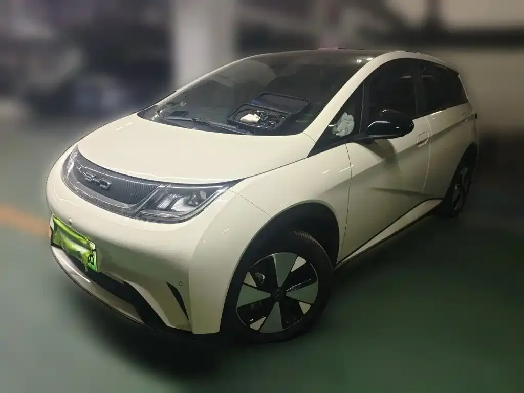 2023 BYD Dolphin 420km Fashion