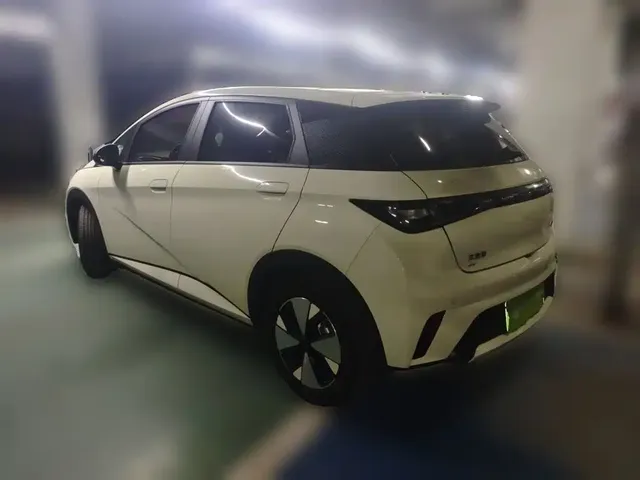 2023 BYD Dolphin 420km Fashion