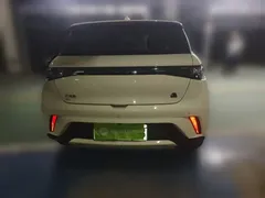 2023 BYD Dolphin 420km Fashion — фото 5