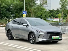 2024 BYD Destroyer 05 Glory DM-i PHEV 120KM Premium — фото 3