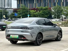 2024 BYD Destroyer 05 Glory DM-i PHEV 120KM Premium — фото 4