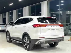 2023 Haval H6 1.5T AT Guochao Champion, белый — фото 13