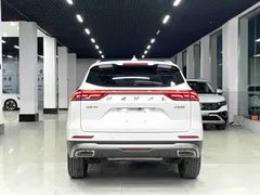 2023 Haval H6 1.5T AT Guochao Champion, белый — фото 14
