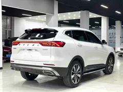 2023 Haval H6 1.5T AT Guochao Champion, белый — фото 15