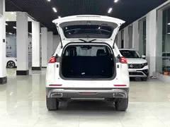 2023 Haval H6 1.5T AT Guochao Champion, белый — фото 16