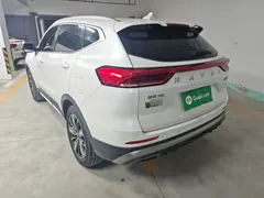 2021 Haval H6 Guochao 1.5GDIT AT Luxury, белый — фото 5