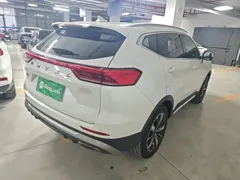 2021 Haval H6 Guochao 1.5GDIT AT Luxury, белый — фото 7