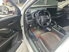 2021 Haval H6 Guochao 1.5GDIT AT Luxury, белый — фото 16