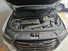 2021 Haval H6 Guochao 1.5GDIT AT Luxury, белый — фото 20