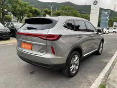 2023 Haval H6 DHT-PHEV 110KM PHEV — фото 7