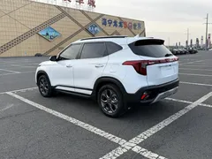 2023 Kia Seltos 1.5L CVT Luxury, белый — фото 6