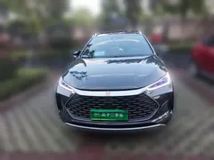 2024 BYD Tang DM-i PHEV 112KM Honor Edition Premium — фото 2