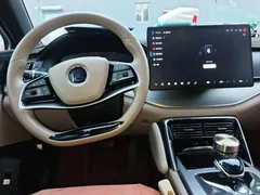 2024 BYD Tang DM-i PHEV 112KM Honor Edition Premium — фото 10