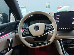 2024 BYD Tang DM-i PHEV 112KM Honor Edition Premium — фото 11