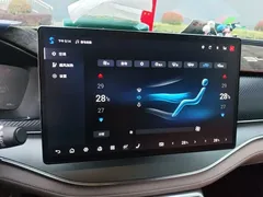 2024 BYD Tang DM-i PHEV 112KM Honor Edition Premium — фото 14