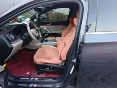 2024 BYD Tang DM-i PHEV 112KM Honor Edition Premium — фото 16