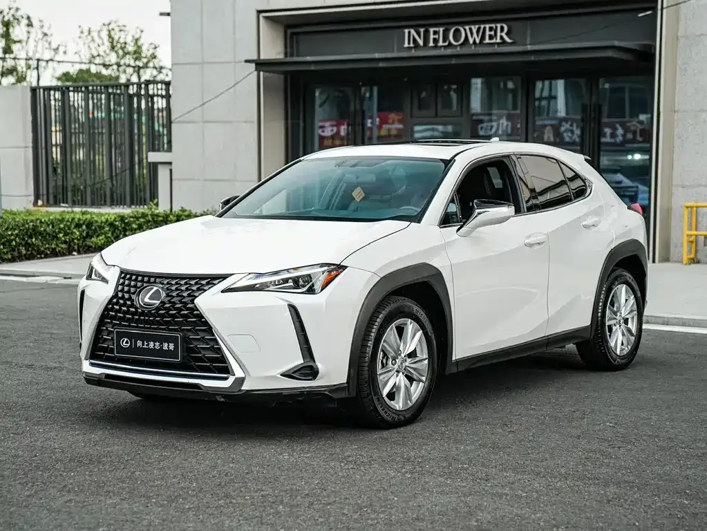 2020 Lexus UX 200 Special Edition