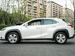 2020 Lexus UX 200 Special Edition, белый — фото 7