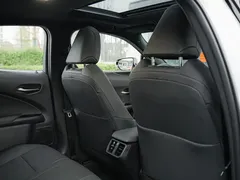 2020 Lexus UX 200 Special Edition, белый — фото 13