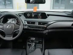 2020 Lexus UX 200 Special Edition, белый — фото 16