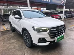 2021 Haval H6 1.5T AT Guochao Urban, белый — фото 4