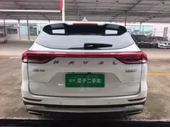 2021 Haval H6 1.5T AT Guochao Urban, белый — фото 6