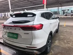 2021 Haval H6 1.5T AT Guochao Urban, белый — фото 7