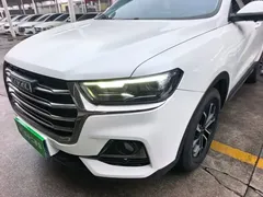 2021 Haval H6 1.5T AT Guochao Urban, белый — фото 24