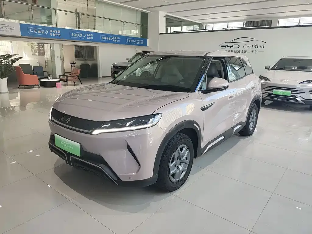 2024 BYD Yuan UP 401km Vitality
