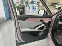 2024 BYD Yuan UP 401km Vitality — фото 4
