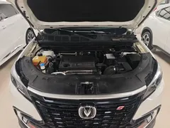 2021 Changan CS85 Coupe 2.0T AT Premium, белый — фото 20
