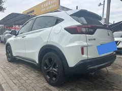 2021 Honda XR-V 1.5L CVT Luxury, белый — фото 10