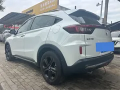 2021 Honda XR-V 1.5L CVT Luxury, белый — фото 11