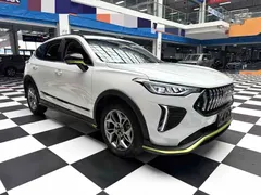 2022 Haval Chitu 1.5T, белый — фото 3