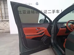 2025 BYD Tang L PHEV 175km Drone Edition — фото 11