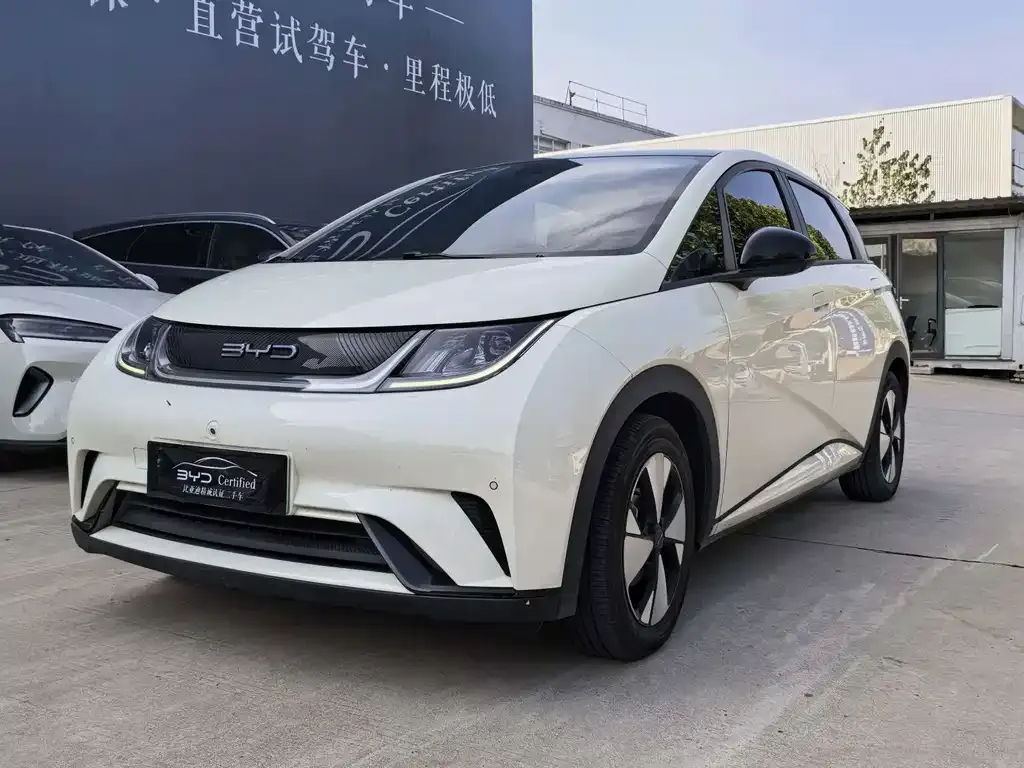 2023 BYD Dolphin 420km Fashion